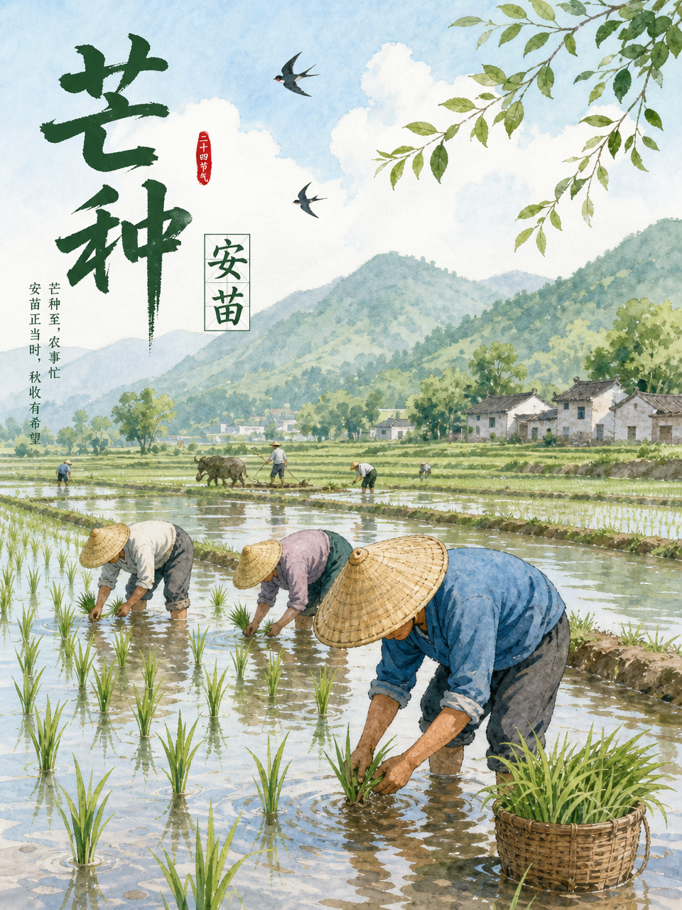 芒种安苗
