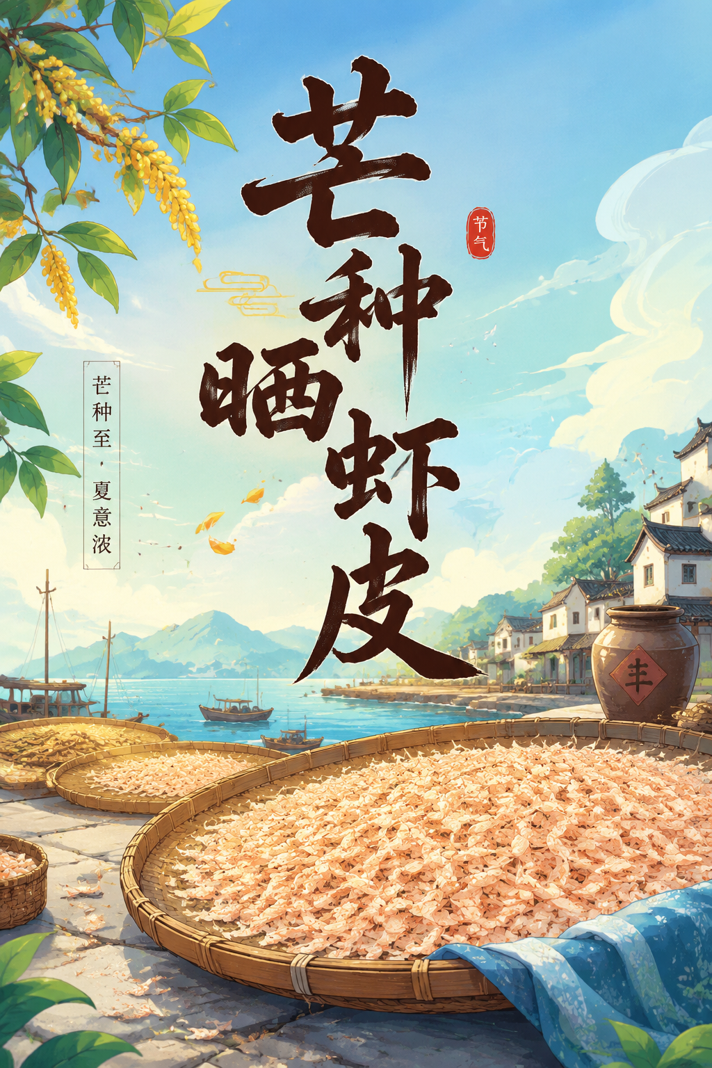 芒种晒虾皮